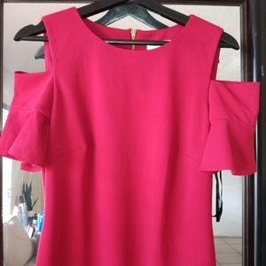 Calvin Klein's dress